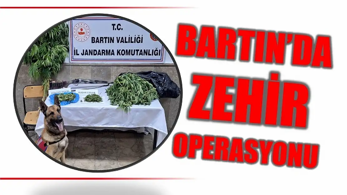 Zehir tacirlerine darbe