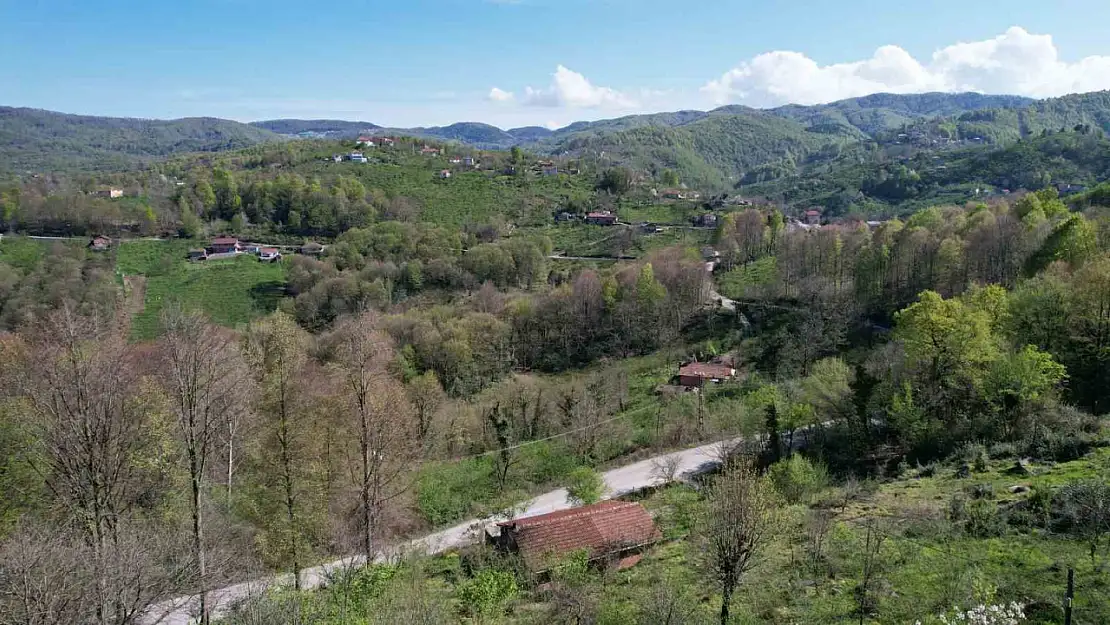 Zonguldak ormanlarında ilkbahar güzelliği havadan görüntülendi