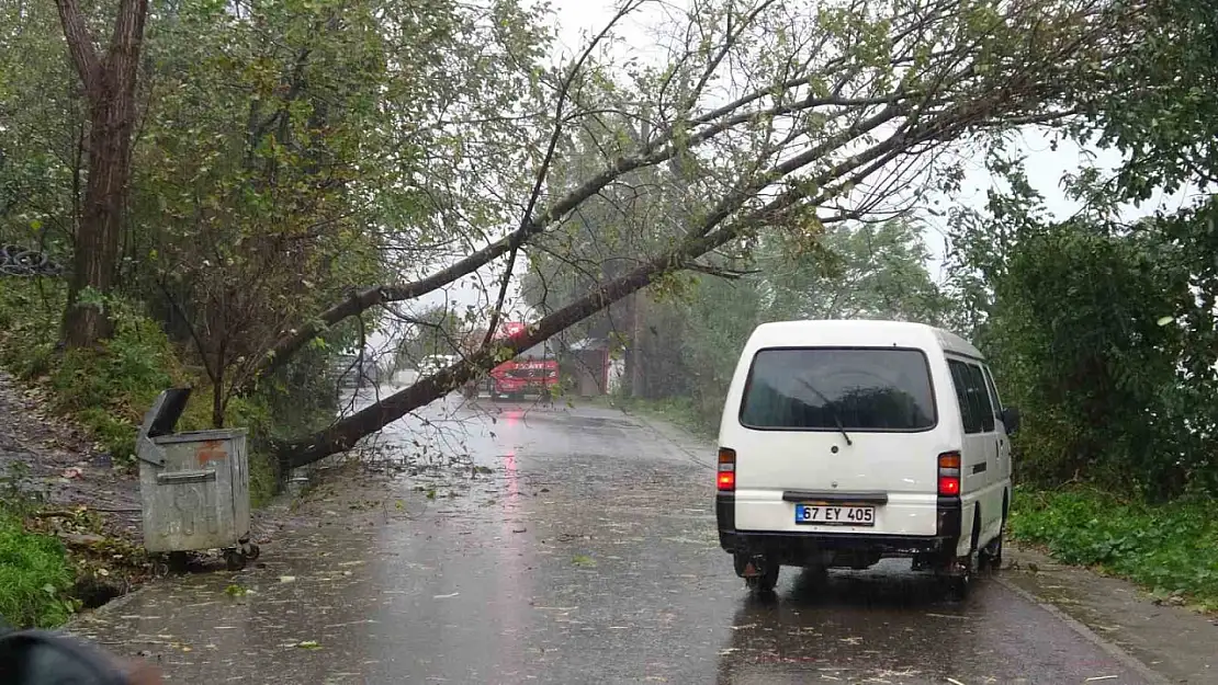 Zonguldak'ta fırtına ve yağmur hayatı olumsuz etkiledi