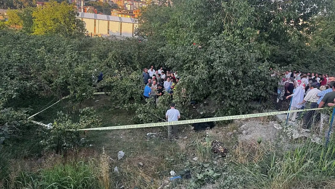 Zonguldak'ta kamyonet fındık bahçesine uçtu: Araçtan fırlayan sürücü öldü