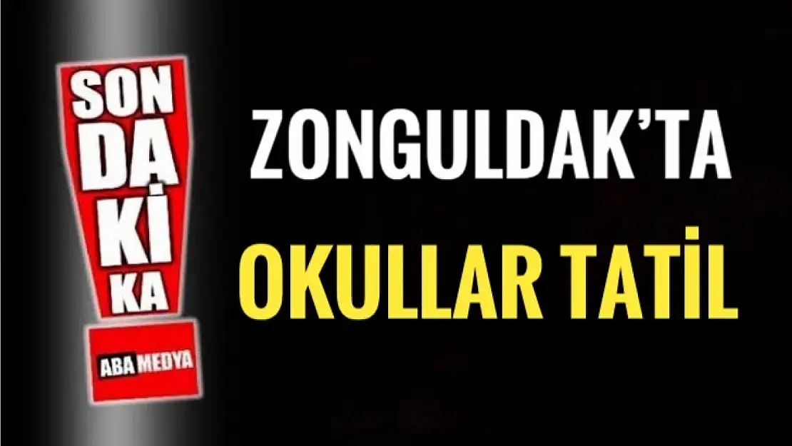 Zonguldak'ta okullara kar tatili