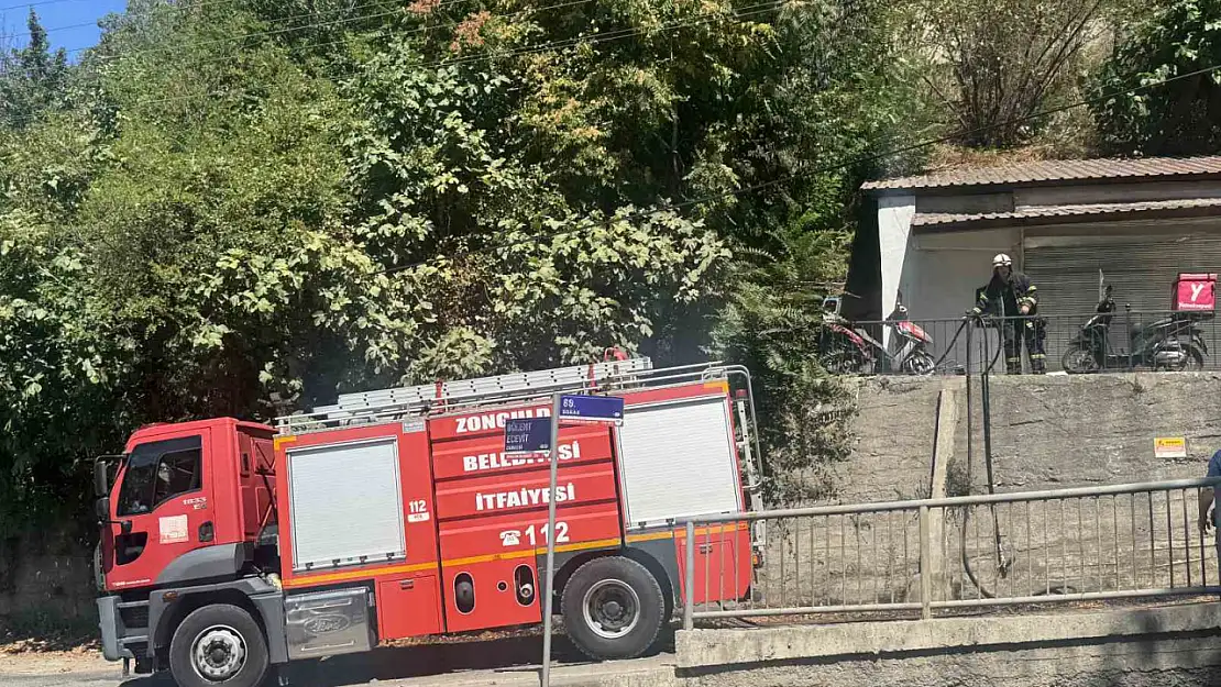 Zonguldak'ta ormanlık alanda çıkan yangın söndürüldü