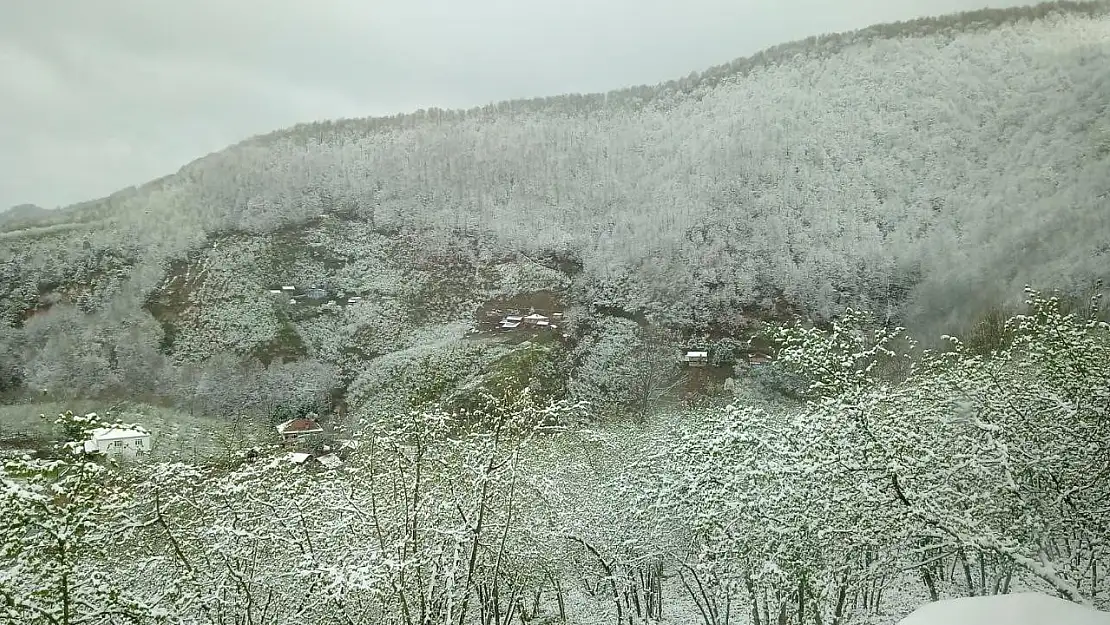 Zonguldak'ta yüksek kesimlerde kar yağışı etkili oldu