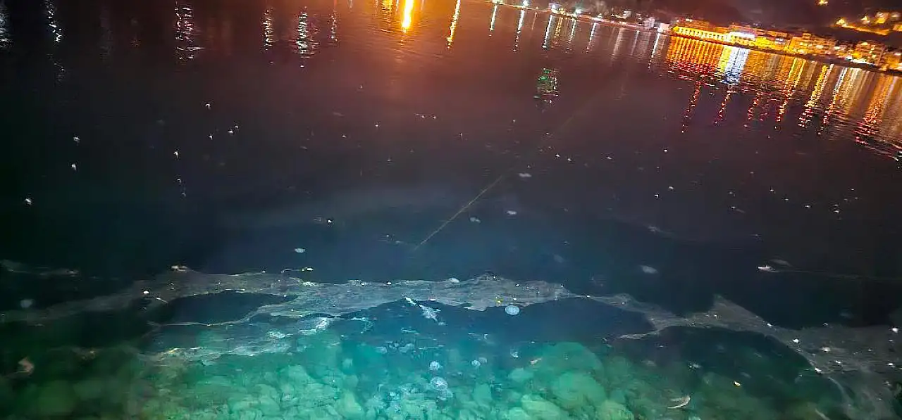 Amasra limanda dikkat çeken görüntü