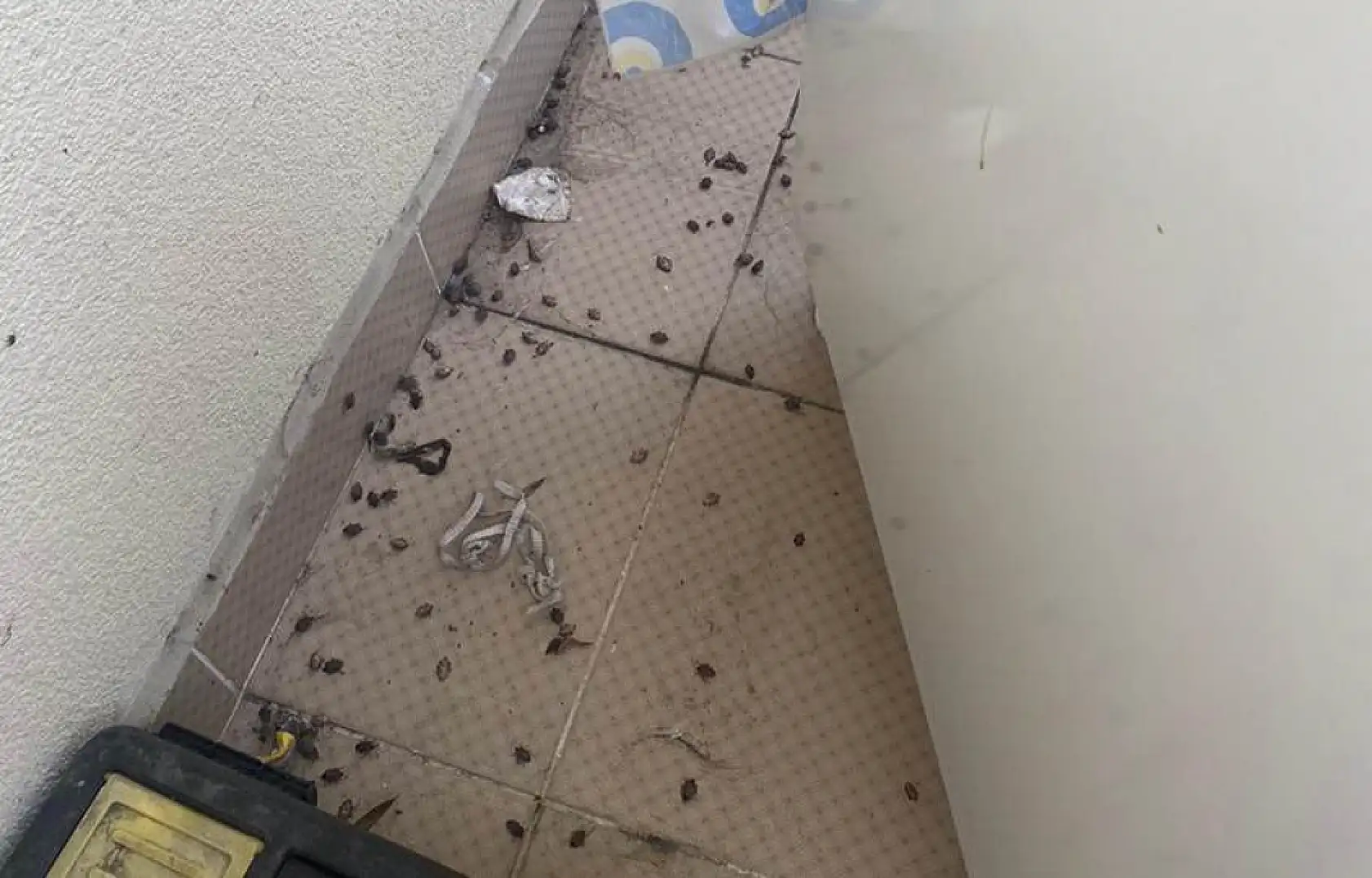 Bu kadarını kimse beklemiyordu
