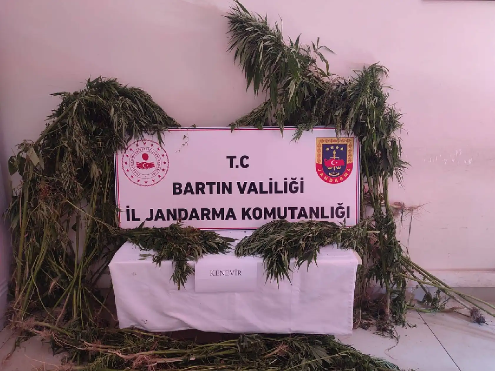 Jandarmadan 5 ayrı adreste operasyonu
