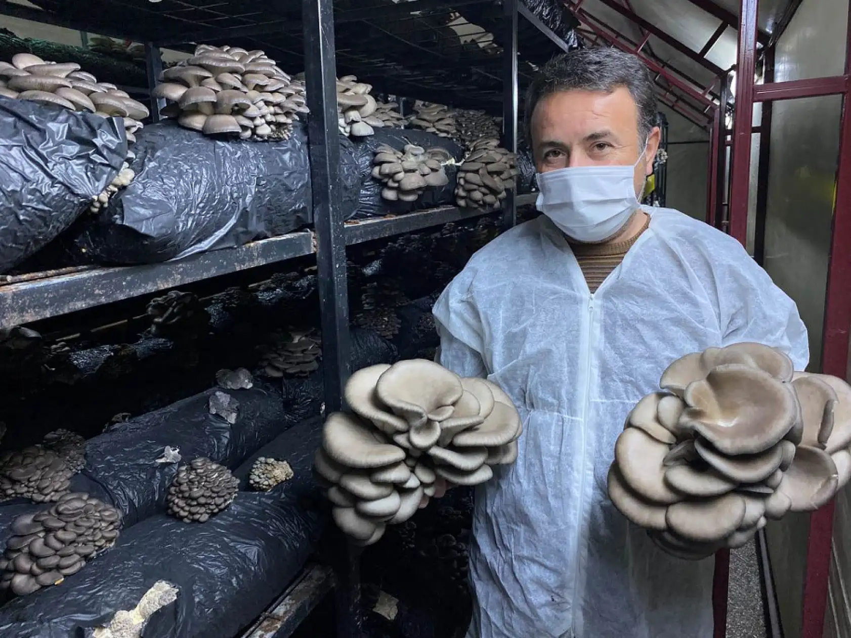 Bartın'dan Ankara'ya ulaşan lezzet
