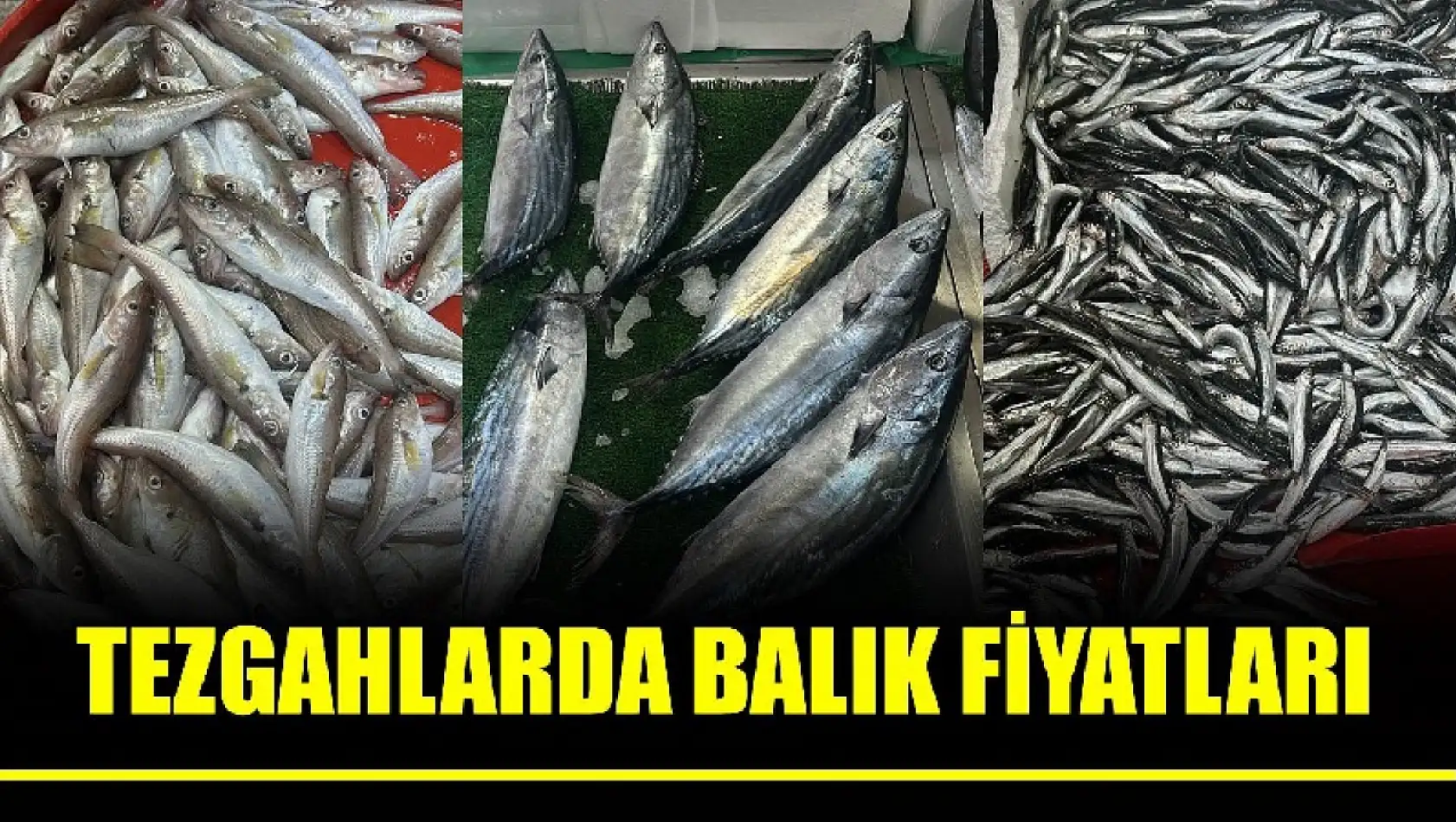 Bartın'da balık fiyatları