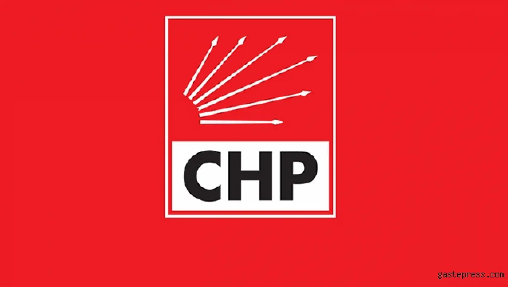 CHP Kadın Kolları 'Şiddet değil güvenlik istiyoruz'