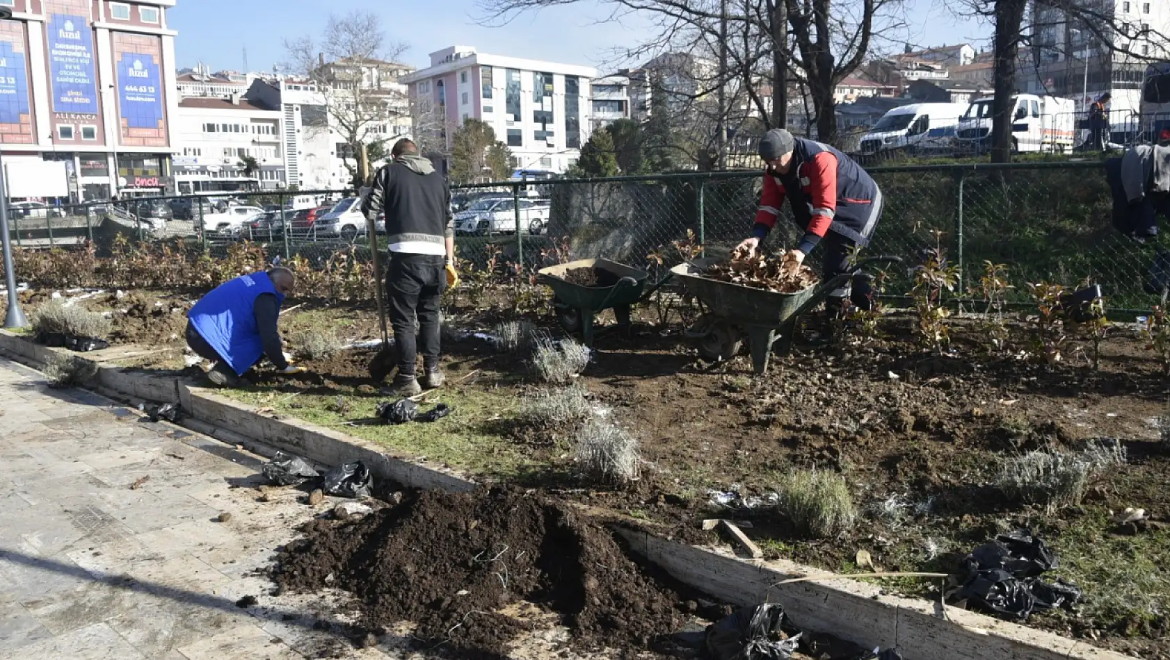 Ereğli lavanta kokacak