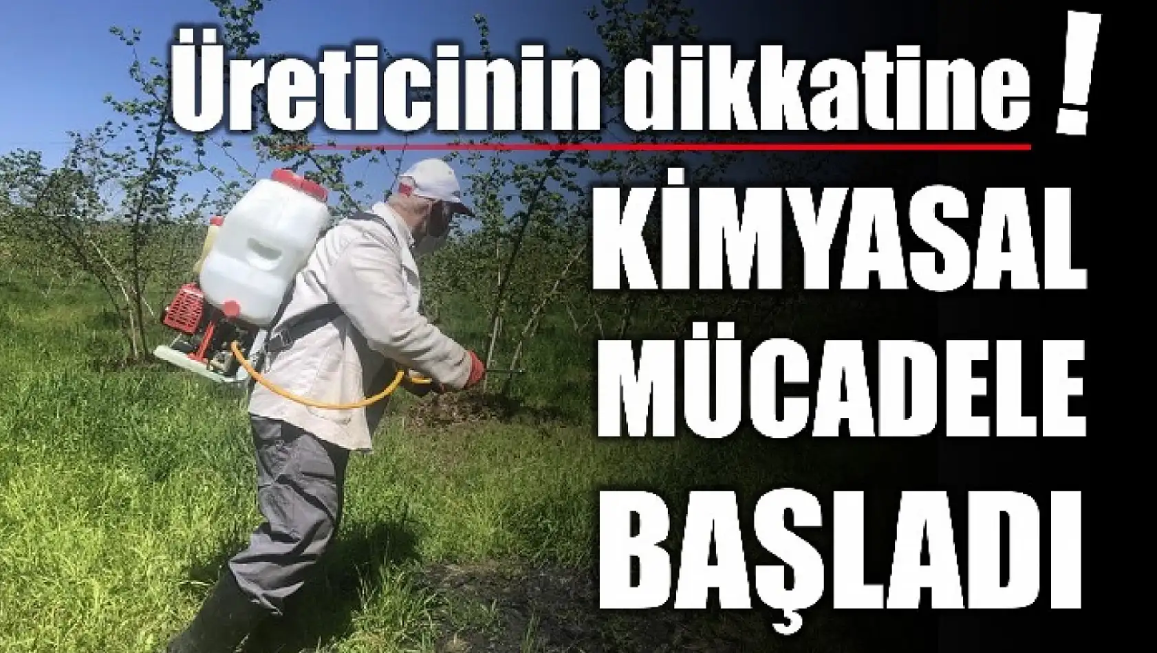 Fındık üreticisinin dikkatine