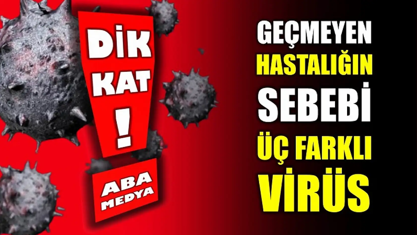 Geçmeyen hastalığın sebebi üç farklı virüs