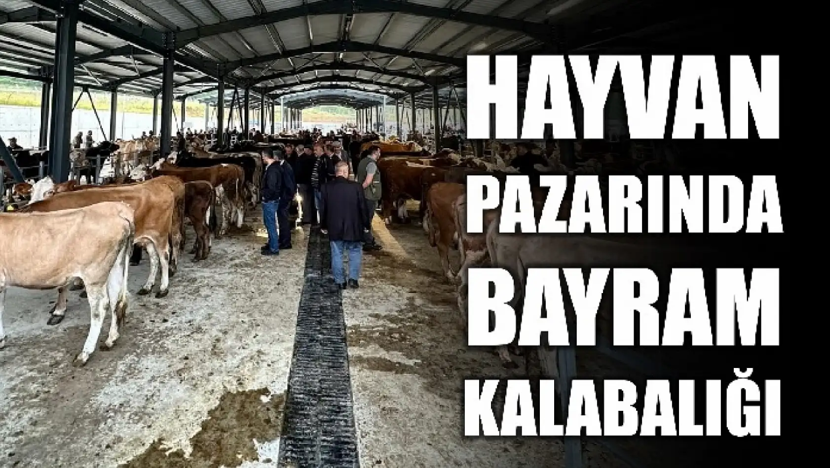 Hayvan pazarında kurban yoğunluğu