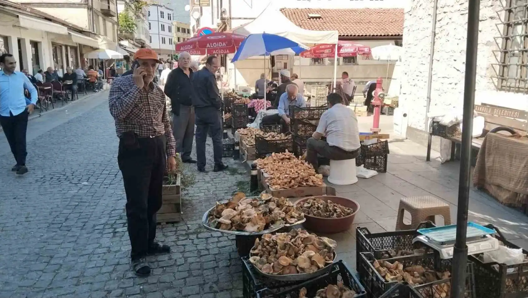 Kanlıca mantarında fiyatlar düştü