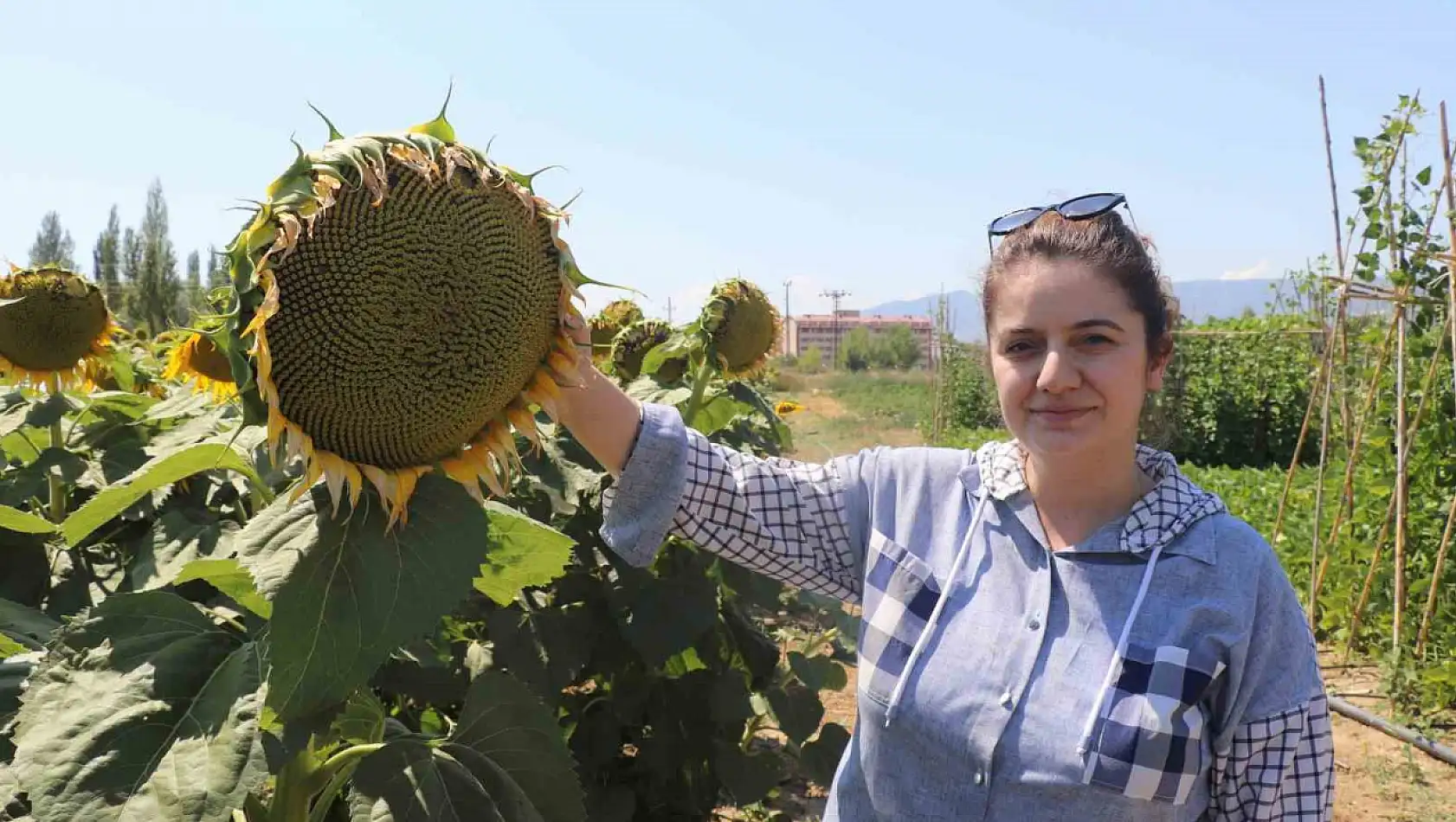 Topraklar organamineral gübre ile kurtarılacak