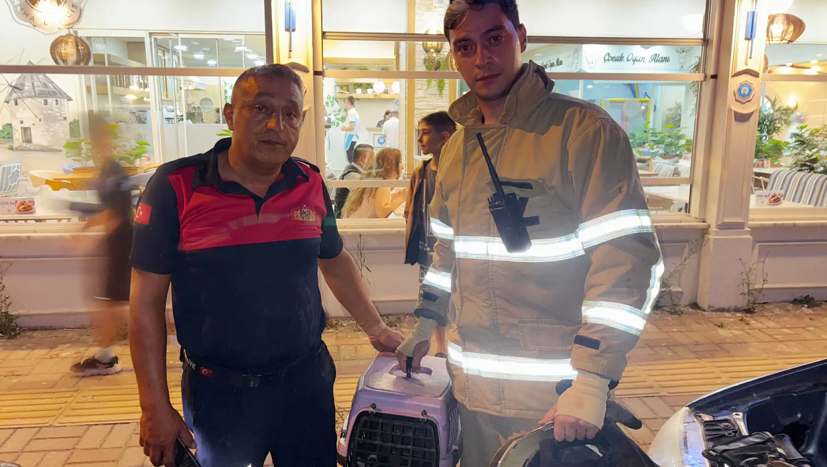 Otomobilin motoruna sıkışan yavru kedi kurtarıldı