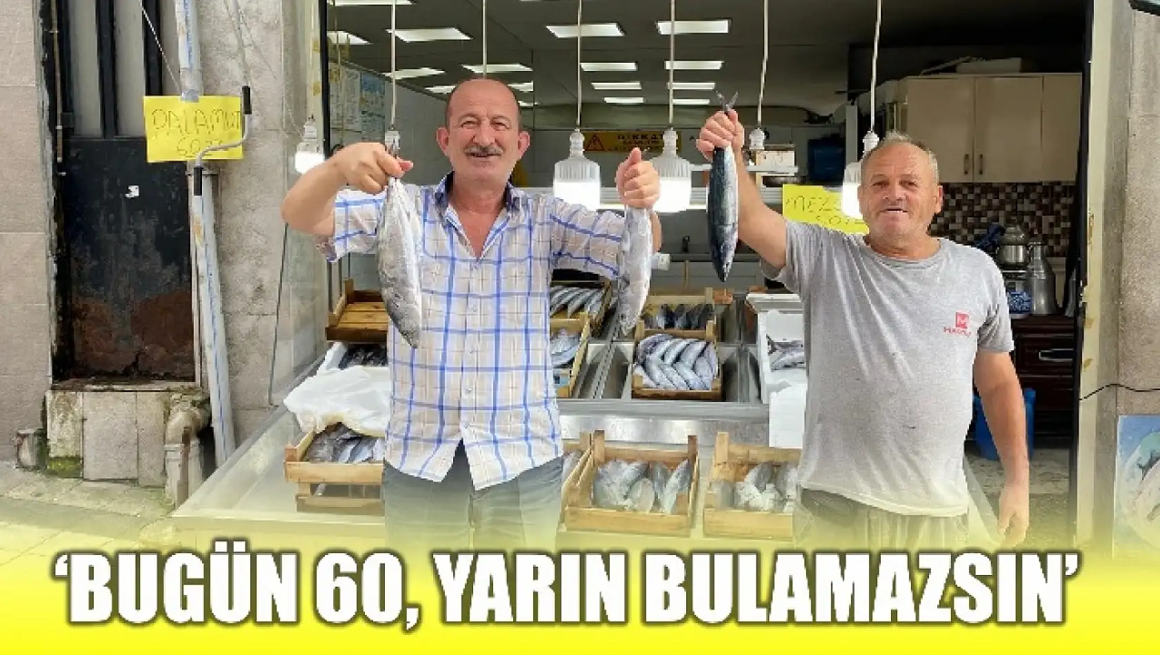 Palamut yüz güldürüyor