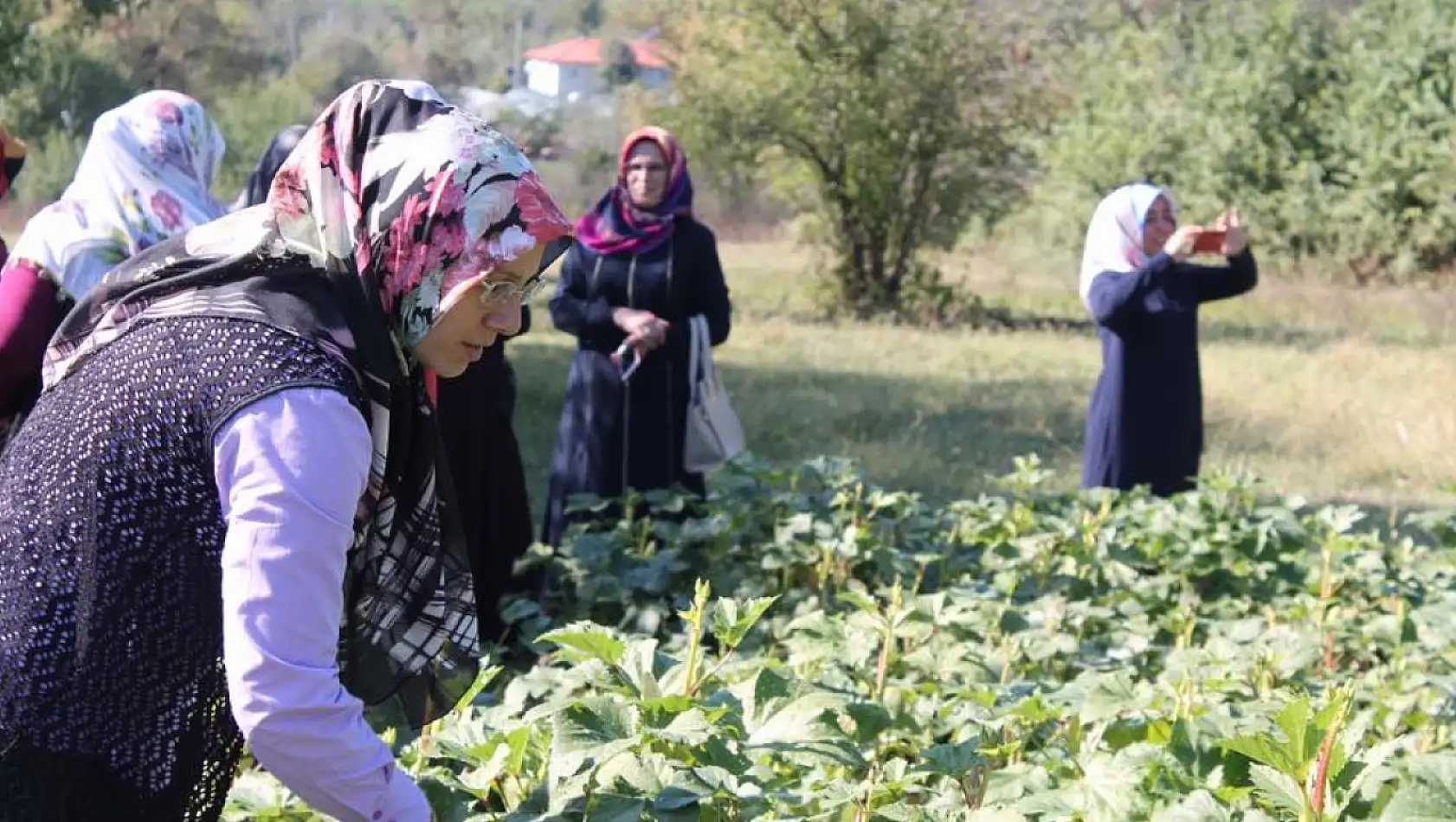 Tarıma dayalı yatırımlar desteklenecek