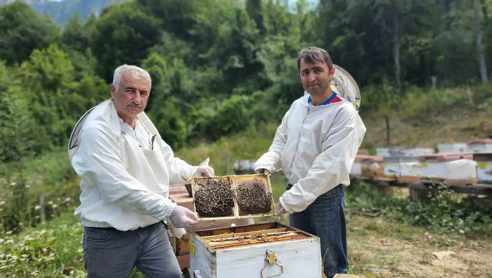 Türkiye'nin AB tescilli 43'üncü ürünü Yenice ıhlamur balı oldu