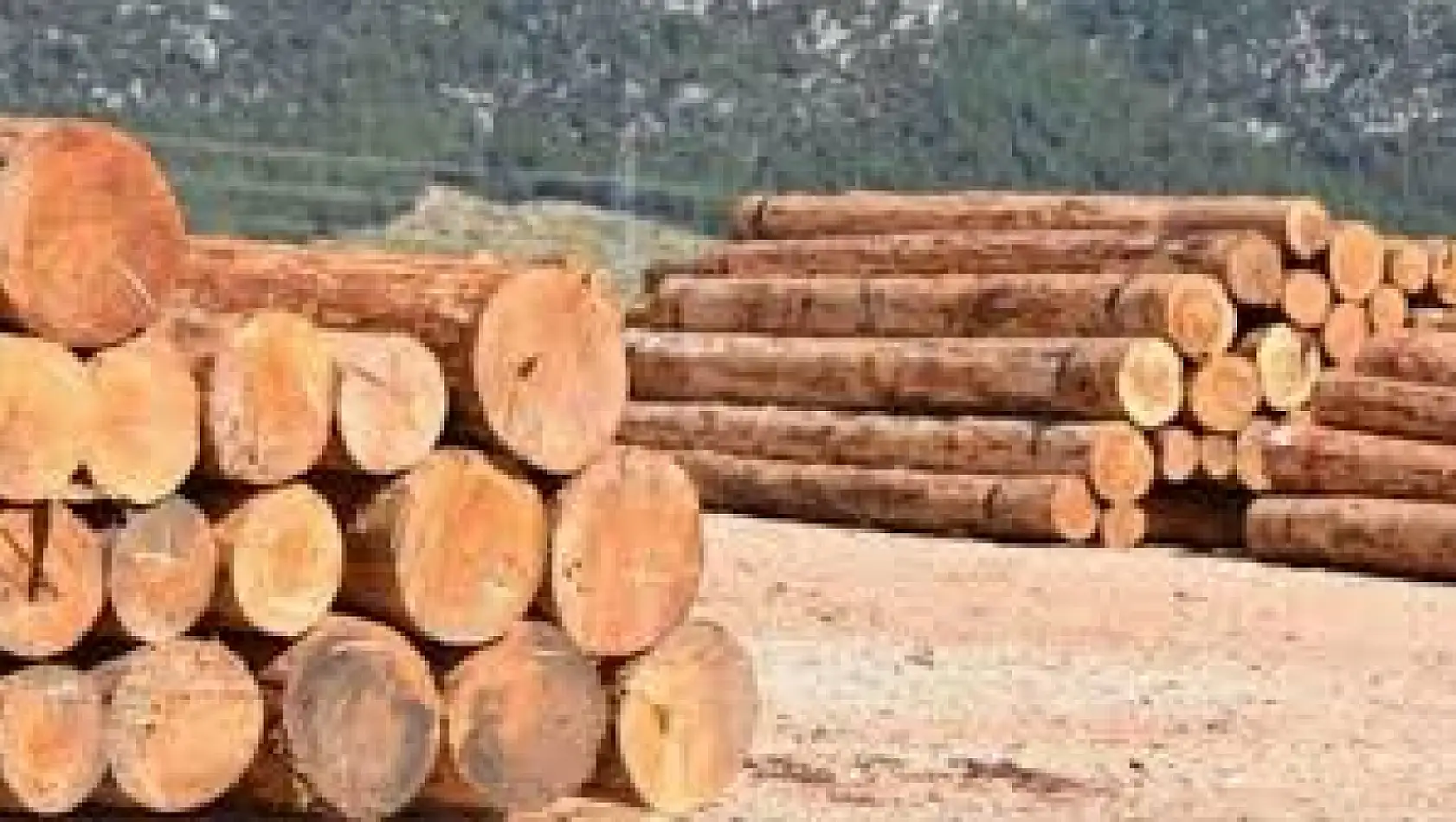 ULUS ORMAN İŞLETME MÜDÜRLÜĞÜ YENİ KUMLUCA ORMAN EMVALİ DEPOSUNDA ORMAN EMVALİ İSTİF HİZMET ALIMI YAPACAK