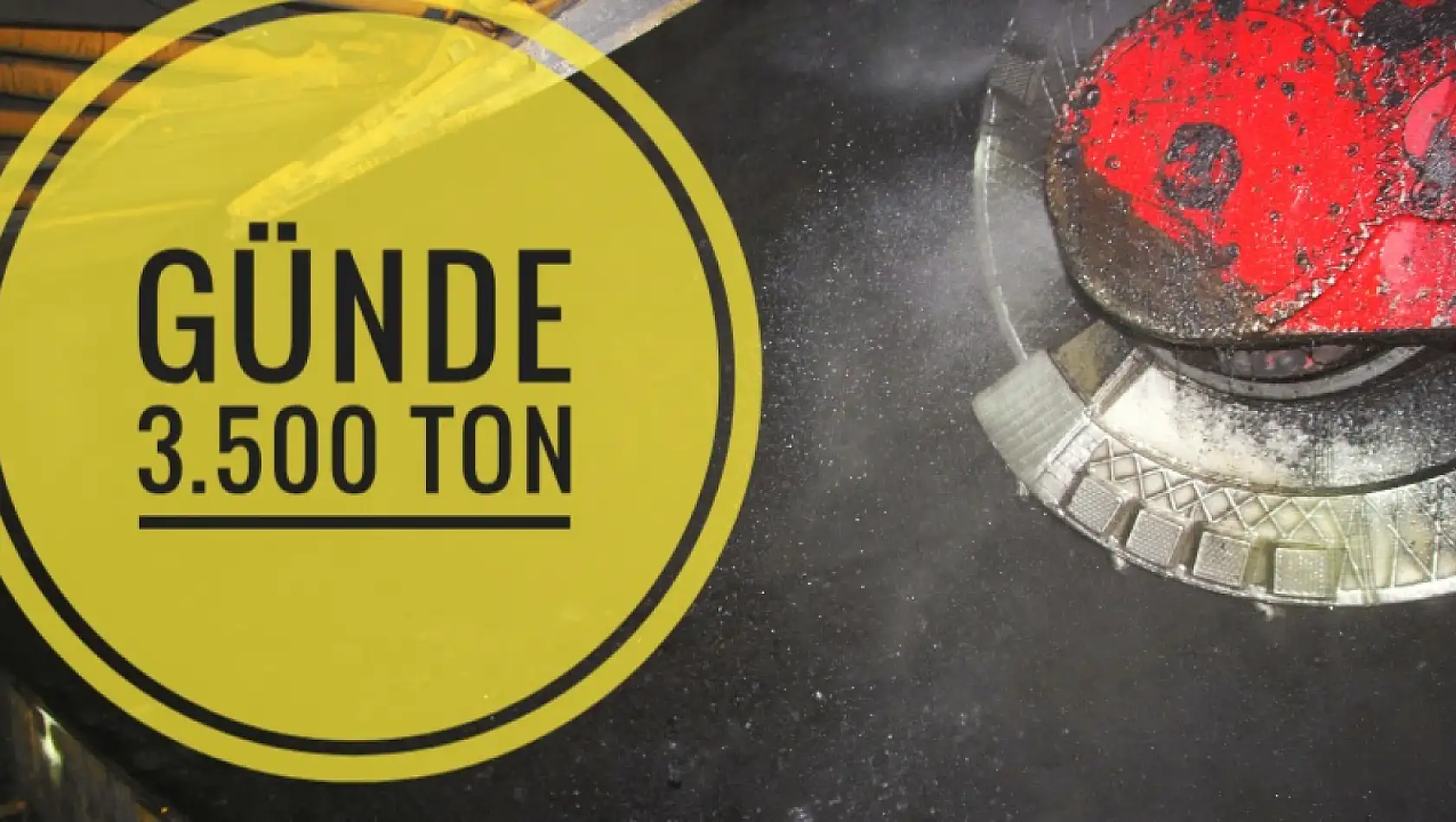 Uyuyan güzel uyandı