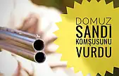 Domuz sandı komşusunu vurdu