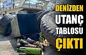 Lastikler, şişeler, halat, boru...