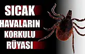 Sağlık Müdürlüğünden uyarı