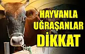 Son tarih 7 Mayıs