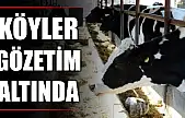 Tarım Müdürlüğünden şap uyarısı
