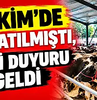 25 Ekim'de faaliyette