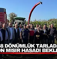 38 Dönümlük Tarlada 200 Ton Mısır Hasadı Bekleniyor