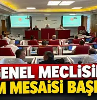 8 madde görüşülecek