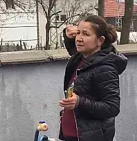 Ağaçta mahsur kalan kedi bir haftadır kurtarılmayı bekliyor