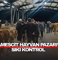 Akçamescit Hayvan Pazarı'nda Sıkı Kontrol