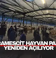 Akçamescit Hayvan Pazarı Yeniden Açılıyor