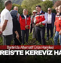 Alternatif Ürün Hamlesi: Kereviz Hasadı Yapıldı
