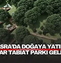 Amasra'ya Yeni Yaşam Alanı