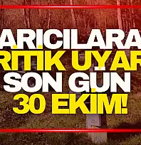 Arıcılara Kritik Uyarı! Son Gün...