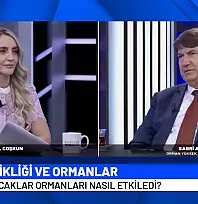 Avcı'dan ormanlar, yangınlar ve ekonomi üzerine önemli açıklamalar