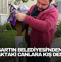 Bartın Belediyesi'nden Sokaktaki Canlara Kış Desteği