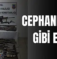 Kurucaşile'de yakalandı