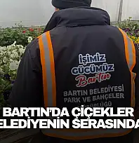 Bartın'da Çiçekler Belediyenin Serasından