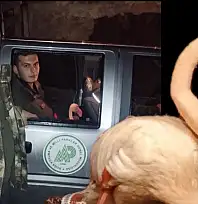 Bartın'da flamingo sürprizi