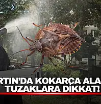 Kokarca Alarmı: Tuzaklara Dikkat!
