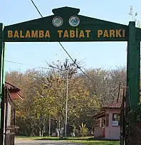 BARTIN DOĞA KORUMA VE MİLLİ PARKLAR MÜDÜRLÜĞÜ BALAMBA TABİAT PARKI GÜNÜBİRLİK KULLANIM ALANI VE KAPI GİRİŞİ İŞLETMECİLİĞİ İŞİ İHALE İLANI