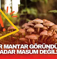 Bartın Valiliği'nden Kritik Uyarı