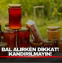 Bartınlı Arıcıdan Sosyal Medyadaki 'Bal' Satışlarına Karşı Uyarı