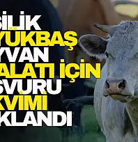 Başvuru Takvimi Açıklandı