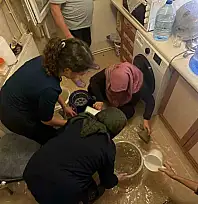 Bolu'da metrekareye 51,4 kilogram yağış düştü: En çok yağış Bolu Dağı'na düştü